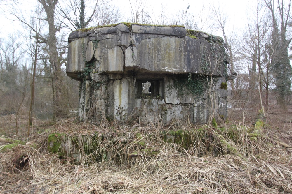 Ligne Maginot - JUNGGRUND SUD - (Blockhaus pour arme infanterie) - 