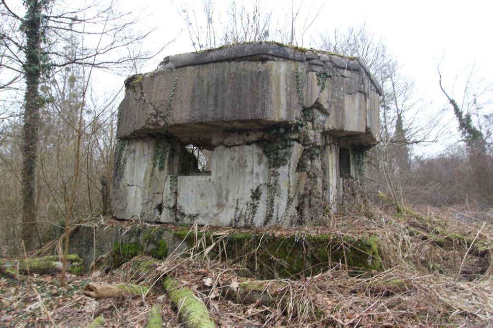 Ligne Maginot - JUNGGRUND SUD - (Blockhaus pour arme infanterie) - 