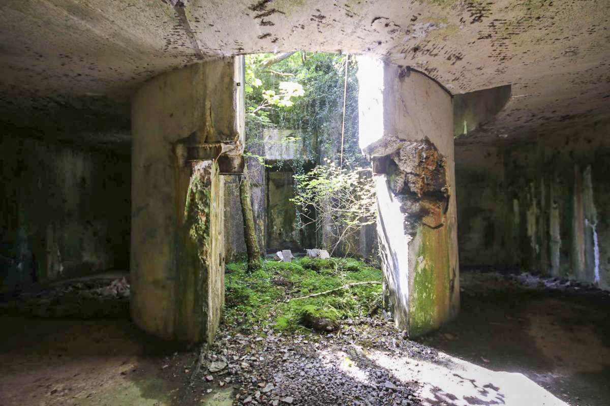 Ligne Maginot - FORT DE BOIS D'OYE - (Position d'artillerie préparée) - 
