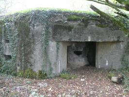 Ligne Maginot - 129 - L'EPINETTE - (Blockhaus pour canon) - 