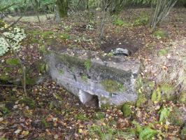 Ligne Maginot - BOIS DE VILLÉCLOYE 2 - (Observatoire d'infanterie) - 