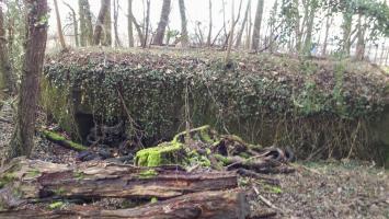 Ligne Maginot - E686 - HESINGUE NORD 3 - (Blockhaus pour canon) - Vue extérieure, de l'autre côté