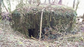 Ligne Maginot - E686 - HESINGUE NORD 3 - (Blockhaus pour canon) - Entrée côté Ouest (la seule)
