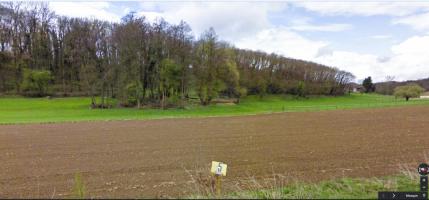 Ligne Maginot - E686 - HESINGUE NORD 3 - (Blockhaus pour canon) - Vue depuis la rocade