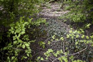 Ligne Maginot - SCHEIDGRABEN - (Blockhaus de type indéterminé) - Les 4 angles intérieurs sont arrondis