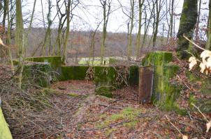 Ligne Maginot - WILLERHOF (BATTERIE DE) - (Position d'artillerie préparée) - Encuvement 3
Vue générale 