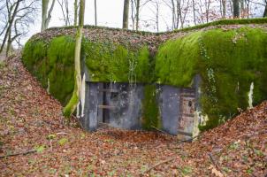 Ligne Maginot - WILLERHOF (BATTERIE DE) - (Position d'artillerie préparée) - Abri PC de la batterie
Vue générale