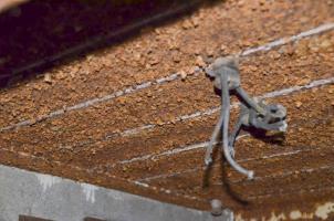 Ligne Maginot - WILLERHOF (BATTERIE DE) - (Position d'artillerie préparée) - Vestiges de l'installation électrique de fortune mise en place dans les deux abris PC et la soute à munitions