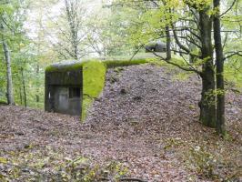 Ligne Maginot - BIESENBERG 4 - (Blockhaus pour arme infanterie) - 