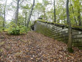 Ligne Maginot - BIESENBERG SOMMITALE - (Casemate d'infanterie - Simple) - 