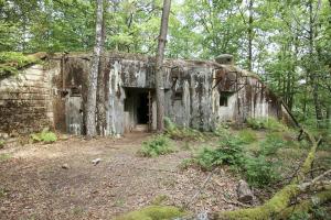 Ligne Maginot - BIESENBERG SOMMITALE - (Casemate d'infanterie - Simple) - 