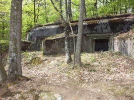 Ligne Maginot - BIESENBERG - (Casemate d'artillerie) - Vue d'ensemble