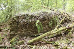 Ligne Maginot - GLASBRONN 1 - (Blockhaus pour arme infanterie) - Etat en 2016, le temps fait son œuvre