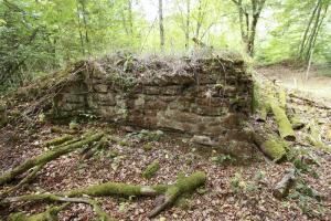 Ligne Maginot - GLASBRONN 1 - (Blockhaus pour arme infanterie) - Etat en 2016, le temps fait son œuvre