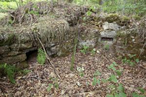 Ligne Maginot - Position de la maison forestière du Biesenberg - 