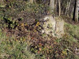 Ligne Maginot - Cuve à mortier de la SERPE - Faces gauche et l'arrière