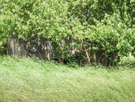 Ligne Maginot - SAINT WALFROY OUEST - (Blockhaus pour canon) - L'entrée pour le canon AC