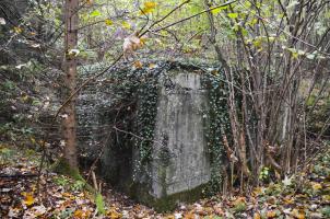 Ligne Maginot - COL DE NEUNEICH - (Abri) - Vue coté nord