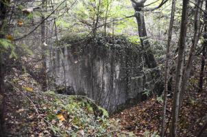 Ligne Maginot - COL DE NEUNEICH - (Abri) - Vue coté sud avec son mur aveugle