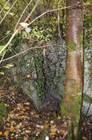 Ligne Maginot - COL DE NEUNEICH - (Abri) - L'entrée gauche