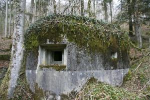 Ligne Maginot - GEBIRGMATTEN NORD - (Blockhaus pour arme infanterie) - 