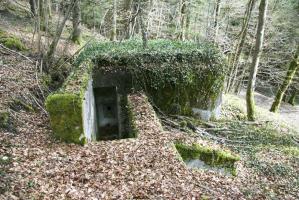 Ligne Maginot - GEBIRGMATTEN NORD - (Blockhaus pour arme infanterie) - 