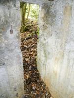 Ligne Maginot - BOIS DE VILLÉCLOYE 1 - (Observatoire d'artillerie) - 