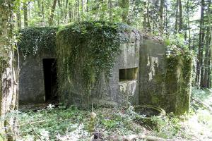 Ligne Maginot - HORNI-FERME - (Blockhaus pour arme infanterie) - Flanquement ouest (Mit), et entrée à gauche