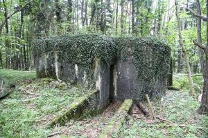 Ligne Maginot - HORNI-FERME - (Blockhaus pour arme infanterie) - Face arrière et entrée