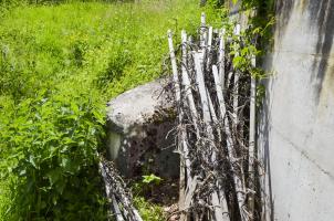 Ligne Maginot - HIPPOLTSKIRCH 3 - (Blockhaus pour canon) - La seule partie encore visible de la coupole