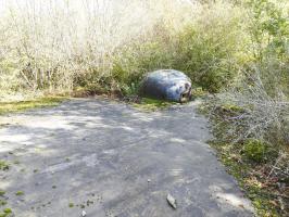 Ligne Maginot - LE CHESNOIS - CHENOIS - (Ouvrage d'artillerie) - Bloc 1
Cloche GFM 1