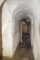 Ligne Maginot - HUTTINGUE OUEST 1 - (Blockhaus pour arme infanterie) - Couloir de liaison entre les deux entrées. Celle du fond est bouchée par des branchages.