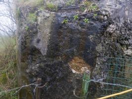Ligne Maginot - 36 - ROUTE DE BLAGNY - (Blockhaus pour arme infanterie) - Mur ouest du blockhaus