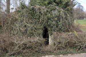 Ligne Maginot - NEUEHAEUSER (PC GUERRE DU III/171° RIF) - (PC de Quartier) - Abri à 1 alvéole