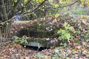 Ligne Maginot - OLTINGUE NORD 3 - (Blockhaus pour canon) - 