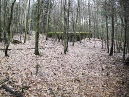 Ligne Maginot - Vue générale - L’abri PC se trouve dans le bois