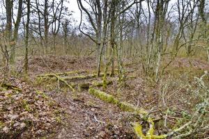 Ligne Maginot - REININGUE - (Dépôt de Munitions) - Soubassement d'un bâtiment (F)