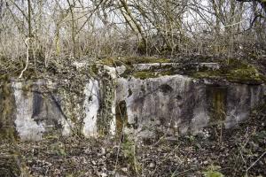 Ligne Maginot - 7/1 - PONT RAIL DE CHALAMPE SUD - (Abri) - Coté ouest du toit avec la cloche en ombre