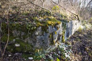 Ligne Maginot - 7/1 - PONT RAIL DE CHALAMPE SUD - (Abri) - Façade ouest