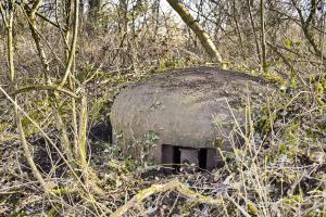 Ligne Maginot - 7/1 - PONT RAIL DE CHALAMPE SUD - (Abri) - Cloche vue de face
