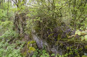 Ligne Maginot - 6/1 - CHALAMPE BERGE SUD - (Casemate d'infanterie - Double) - Un des murs restant
Casemate détruite - Un pan de murs restant