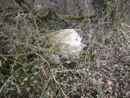 Ligne Maginot - BLODELSHEIM OUEST 1 - (Blockhaus pour arme infanterie) - Vue extérieure