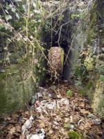 Ligne Maginot - BLODELSHEIM OUEST 1 - (Blockhaus pour arme infanterie) - Vue extérieure
