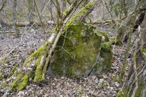 Ligne Maginot - BATTENHEIM ECLUSE 44 SUD - (Cuve pour arme d'infanterie) - 