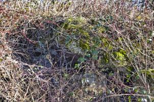 Ligne Maginot - CHALAMPE OUEST 2 - (Abri) - Une ouverture ?