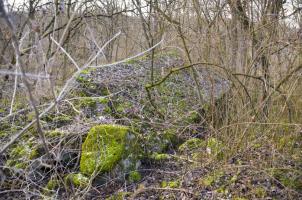 Ligne Maginot - G39 - RUMERSHEIM LE HAUT BERGE 3 - (Blockhaus pour arme infanterie) - Retranchement se trouvant à l'arrière de l'abri de l'autre coté du chemin