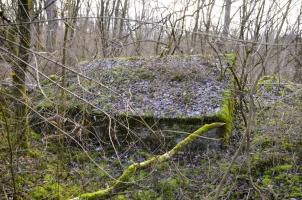 Ligne Maginot - G39 - RUMERSHEIM LE HAUT BERGE 3 - (Blockhaus pour arme infanterie) - Retranchement se trouvant à l'arrière de l'abri de l'autre coté du chemin