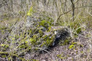 Ligne Maginot - G39 - RUMERSHEIM LE HAUT BERGE 3 - (Blockhaus pour arme infanterie) - Retranchement arrière pour les hommes de troupes