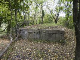Ligne Maginot - WELSCHBRUCH NORD 1 - (Blockhaus pour arme infanterie) - 
