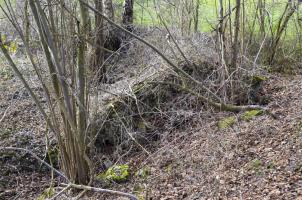 Ligne Maginot - G40 - RUMERSHEIM LE HAUT BERGE 2 - (Blockhaus pour arme infanterie) - Reste de l'abri voisin pour la troupe